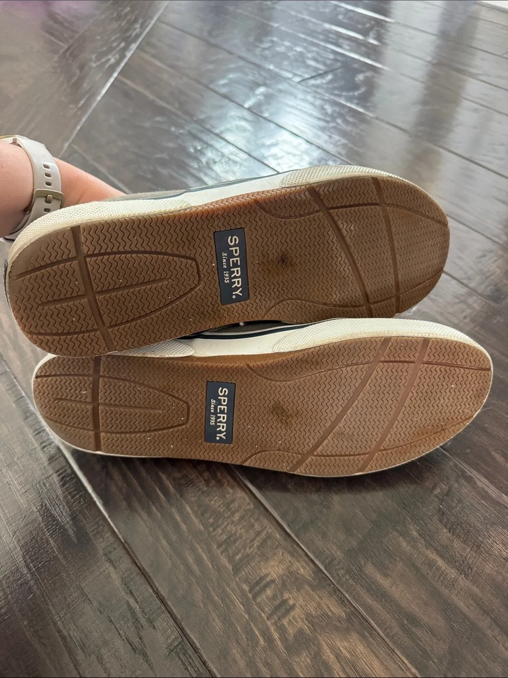 Sperry casual canvas